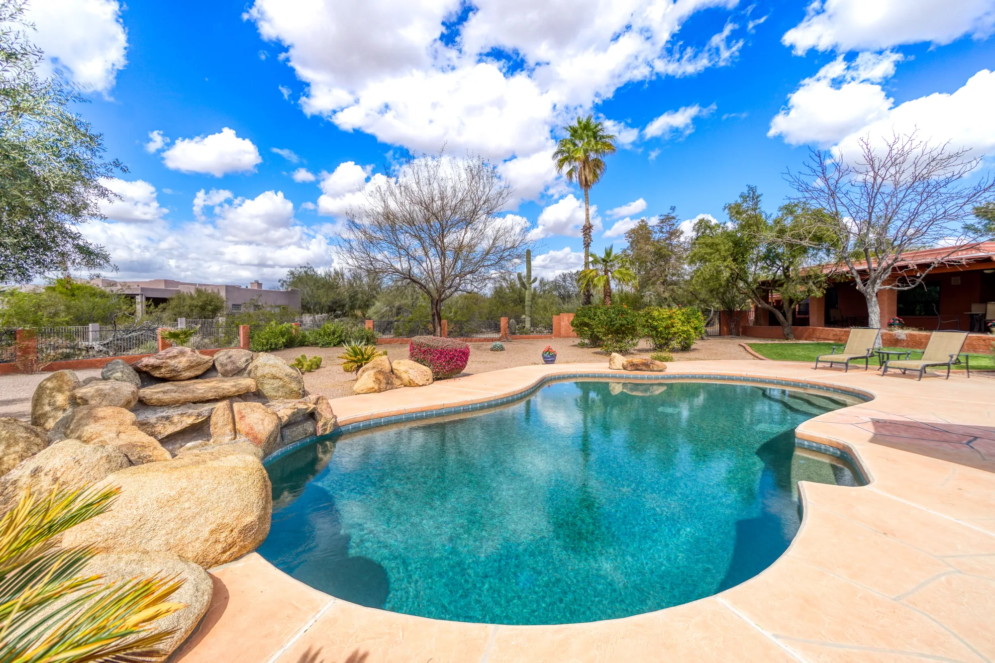 A backyard swimming pool in a desert-landscaped Arizona yard